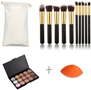 Pure Vie Pro 10 Pcs Make Up Brushes   1 Sponge Puff   15 Colors Cream Concealer Camouflage Makeup Palette Contouring Kit for Salon and Daily Use