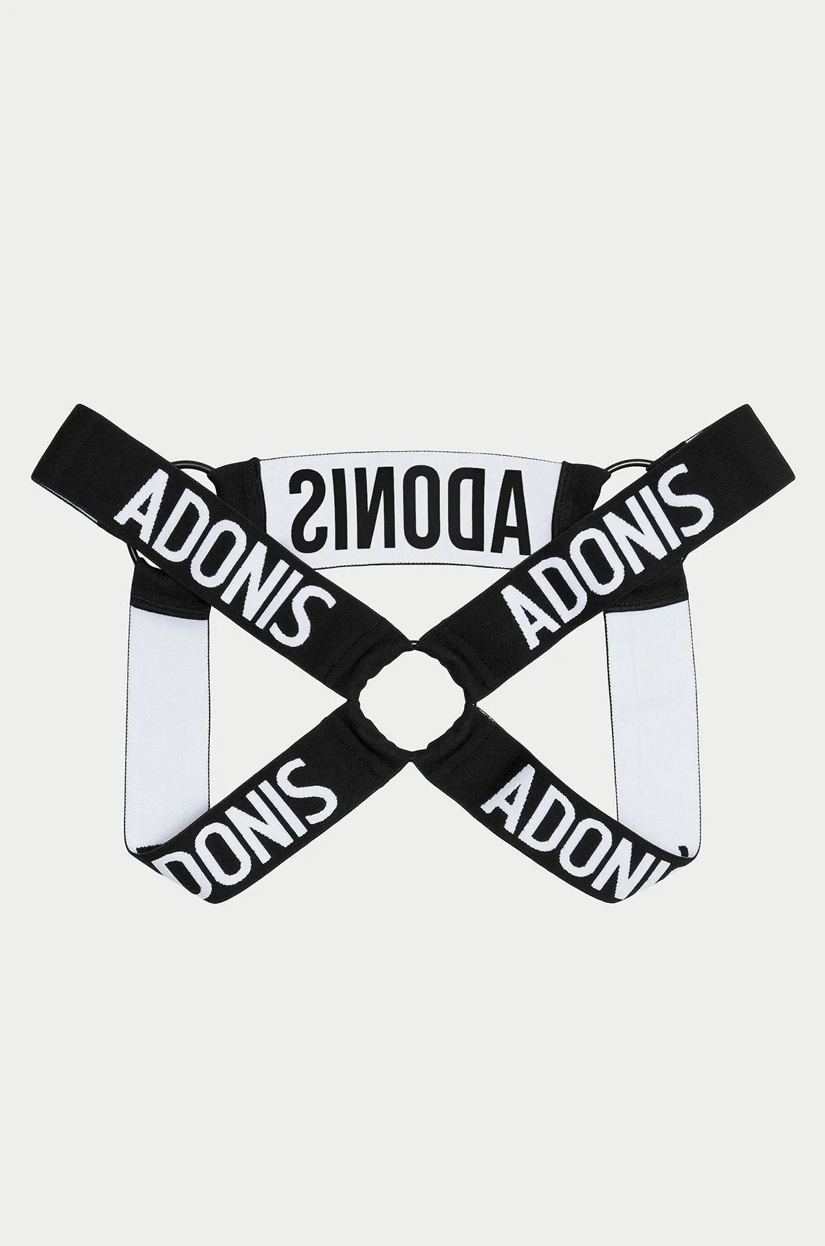 Ring Black Harness