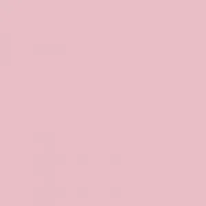 Ruby Kisses Pump Face Primer