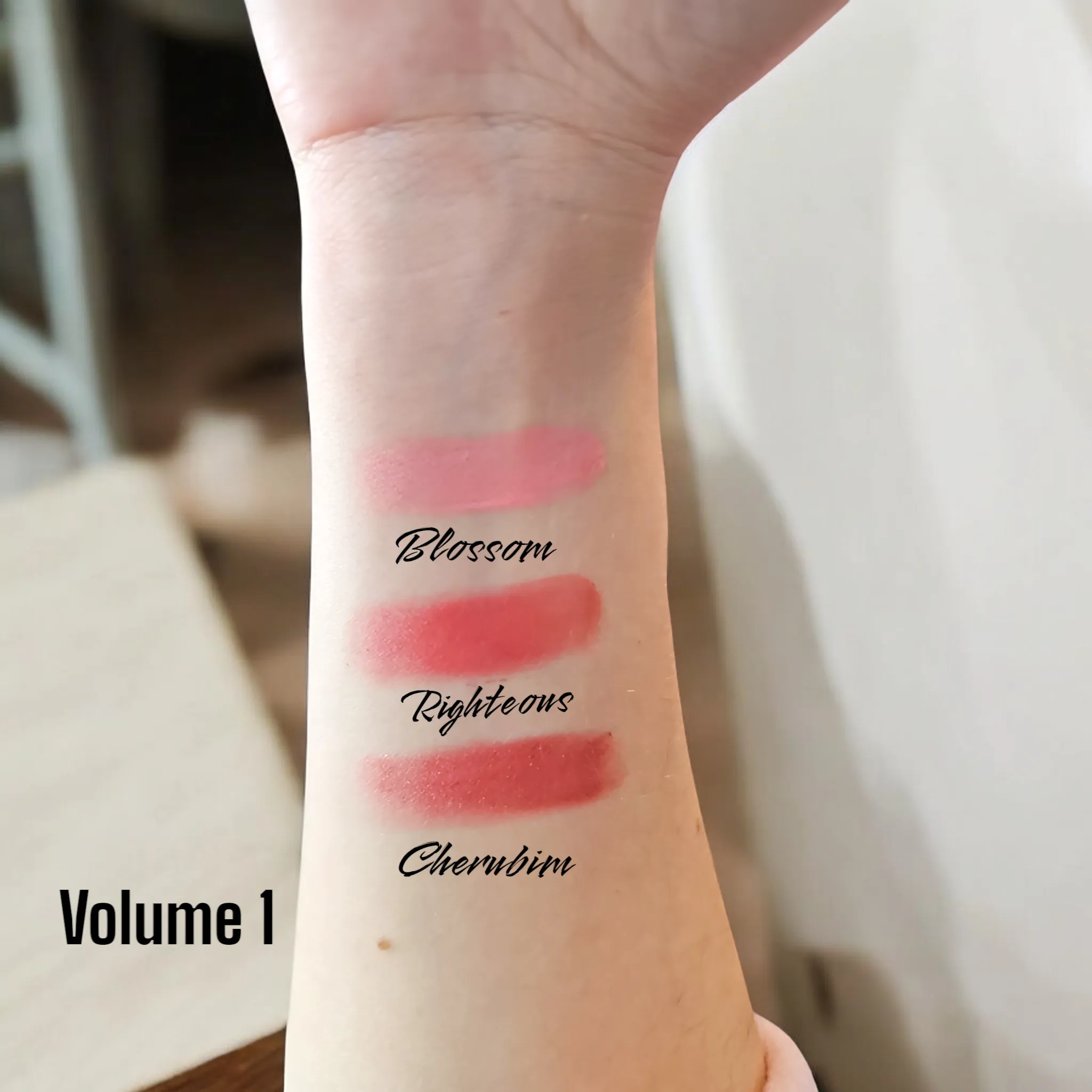THE TRINITY Blush Palette (2 Volumes) Matte Powder