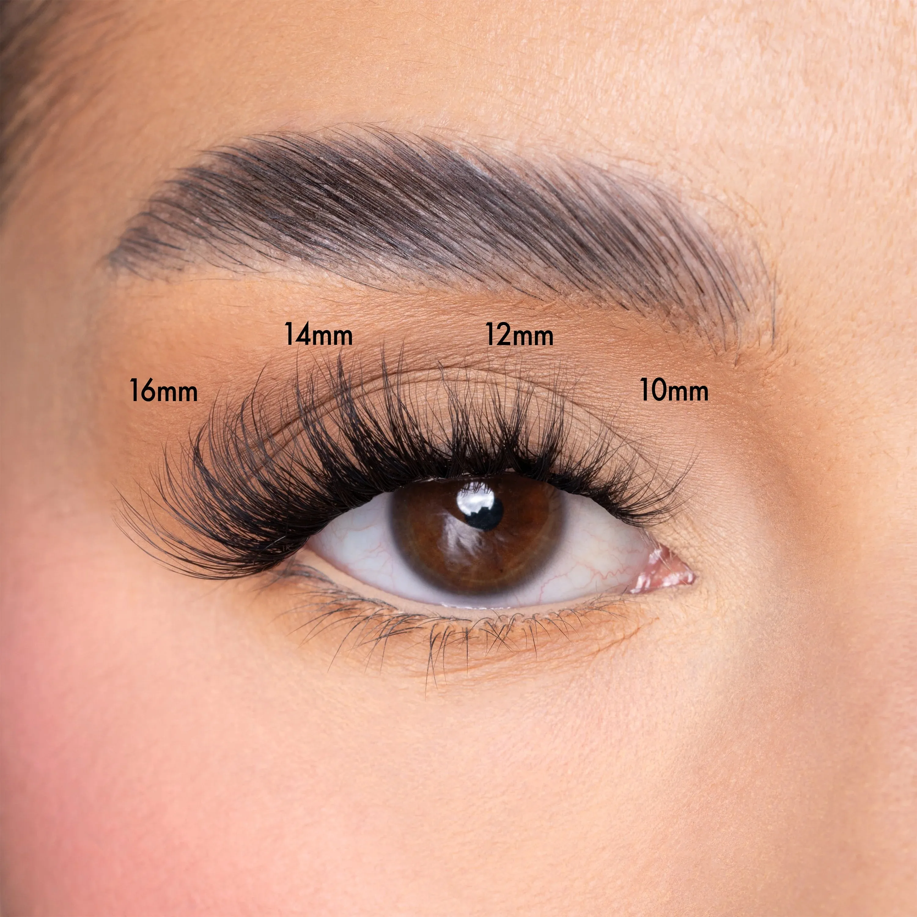 Unicorn Cosmetics UnBearlievable Cluster Lashes - Shut The Fluff Up