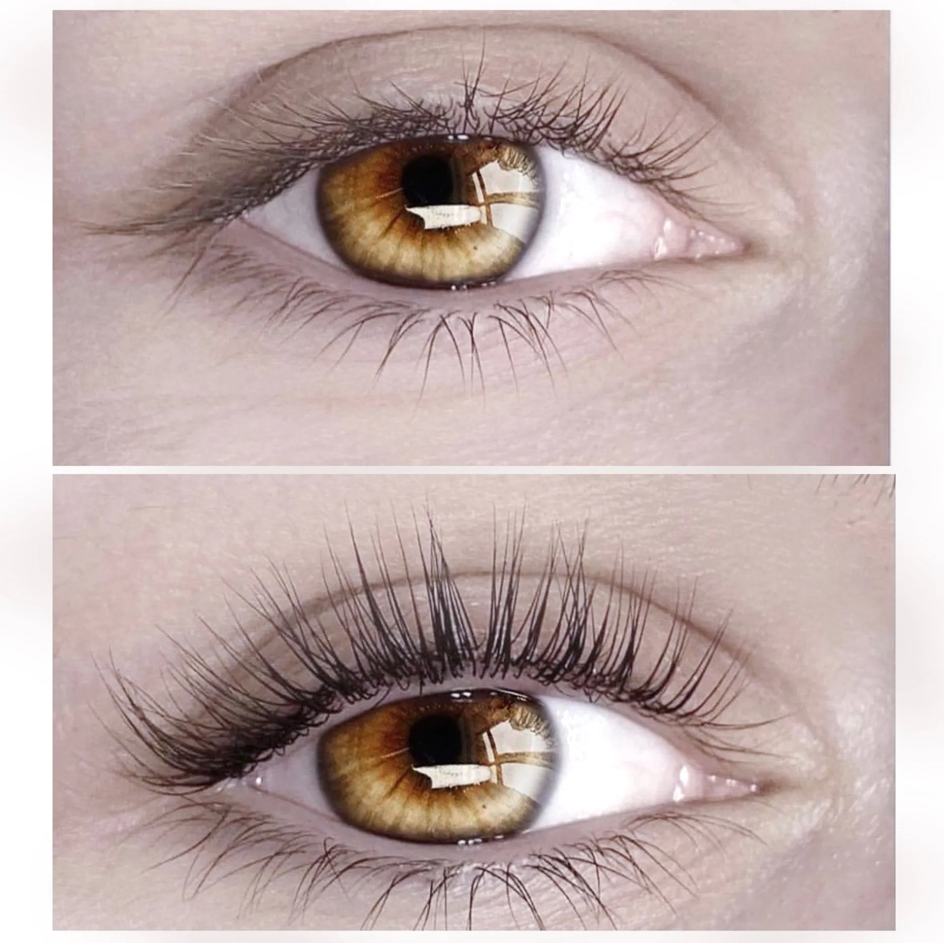 VEGAN LASH & BROW SETTING LOTION BOTTLE #02