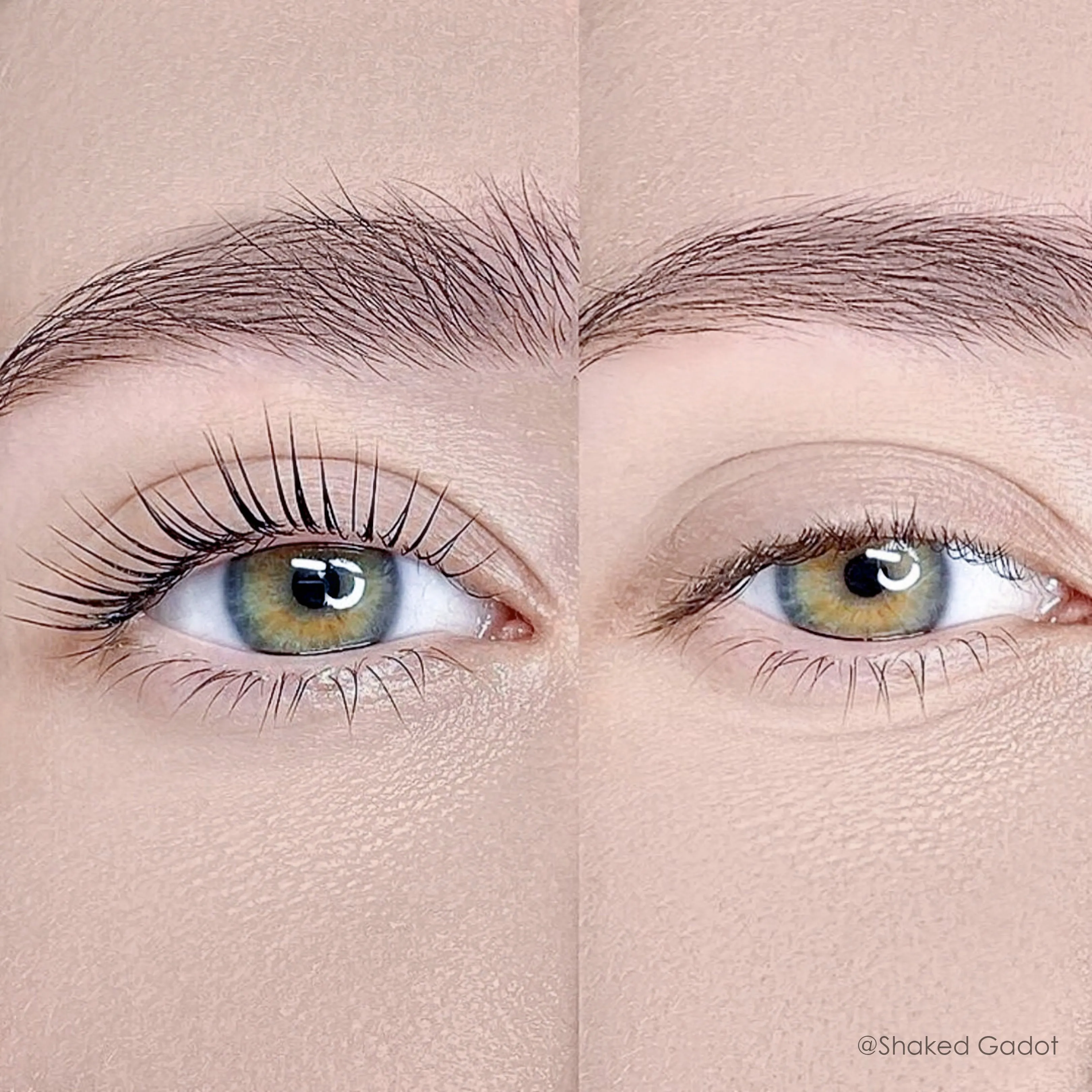 VEGAN LASH & BROW SETTING LOTION BOTTLE #02